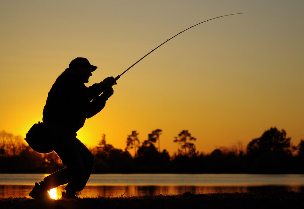 Best Bass Fishing Rods In 2022 (Reviews And Buying Guide)