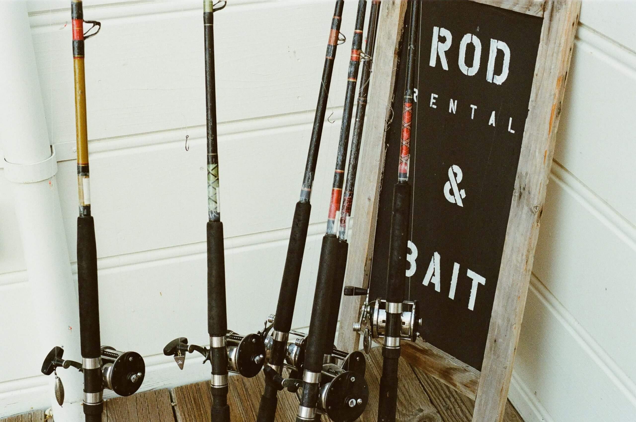 Different Types Of Fishing Rods